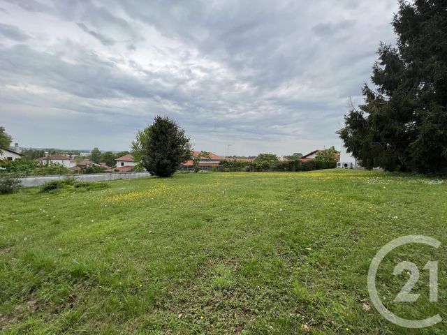 terrain à vendre - 736.0 m2 - ANGLET - 64 - AQUITAINE - Century 21 Indarra