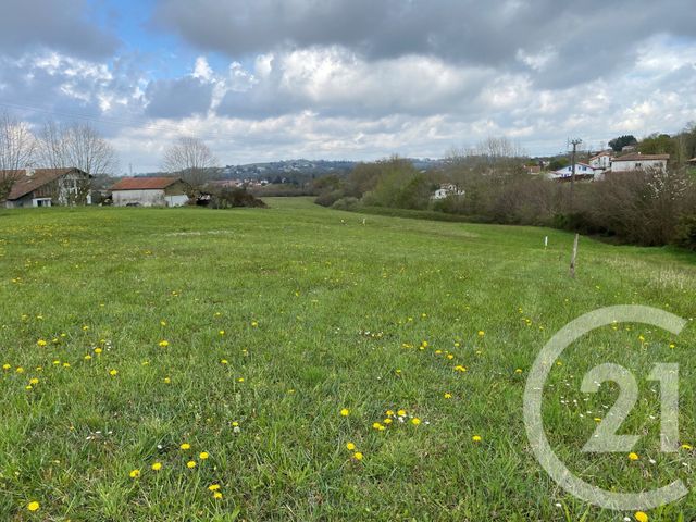 terrain - ST PIERRE D IRUBE - 64