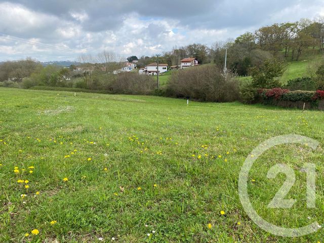 terrain - ST PIERRE D IRUBE - 64